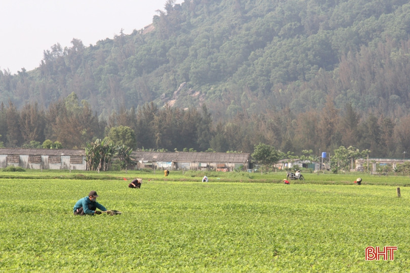 Người dân Hà Tĩnh nỗ lực duy trì lao động sản xuất 