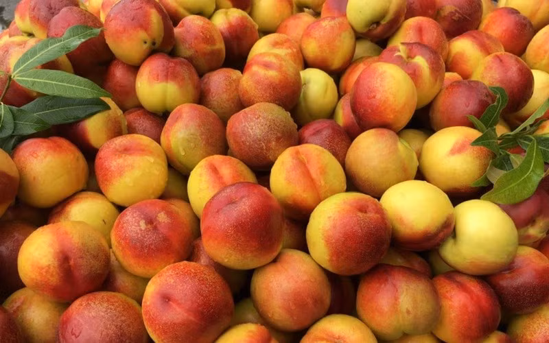 Những trái cây tốt cho sức khỏe và hệ miễn dịch giữa mùa dịch Covid-19