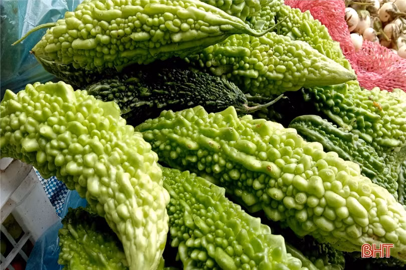 Ngắm vườn mẫu sum suê rau quả vào mùa thu hoạch trên những miền nông thôn mới Hà Tĩnh