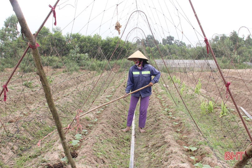 Người dân Hà Tĩnh nỗ lực duy trì lao động sản xuất 