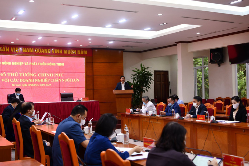 Nhiều doanh nghiệp cam kết giảm giá thịt lợn từ 1/4 ảnh 1 Nhiều doanh nghiệp cam kết giảm giá thịt lợn từ 1/4