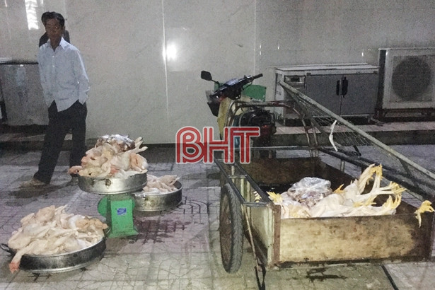 Phát hiện 127kg gà thịt không kiểm dịch tại 2 khách sạn lớn ở TP Hà Tĩnh