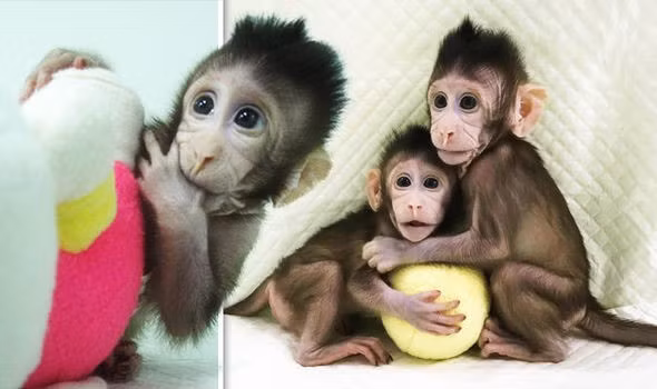 Những sự kiện khoa học quốc tế nổi bật năm 2018