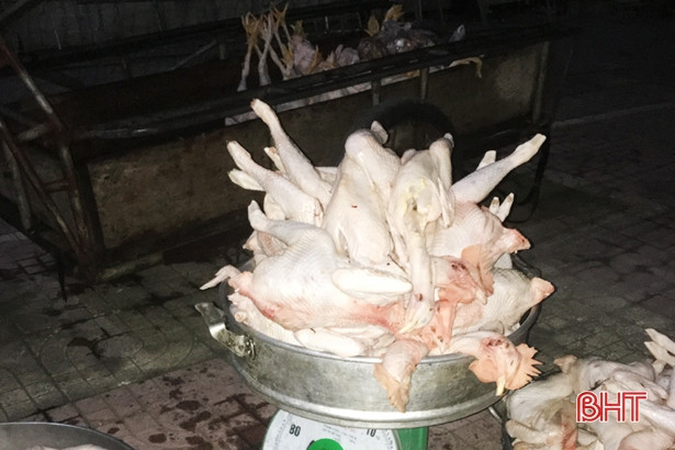 Phát hiện 127kg gà thịt không kiểm dịch tại 2 khách sạn lớn ở TP Hà Tĩnh