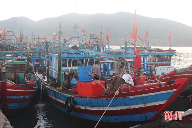 Luồng lạch bồi lắng, tàu thuyền cập cảng giảm hơn 10%