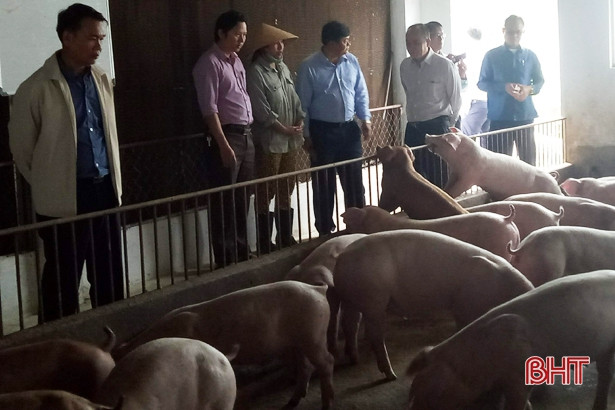 Đoàn cán bộ tỉnh Chăm Pa Sắc làm việc với huyện Lộc Hà