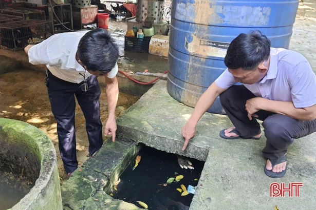 Hà Tĩnh: Dịch sốt xuất huyết có thể bùng phát, người dân không nên chủ quan