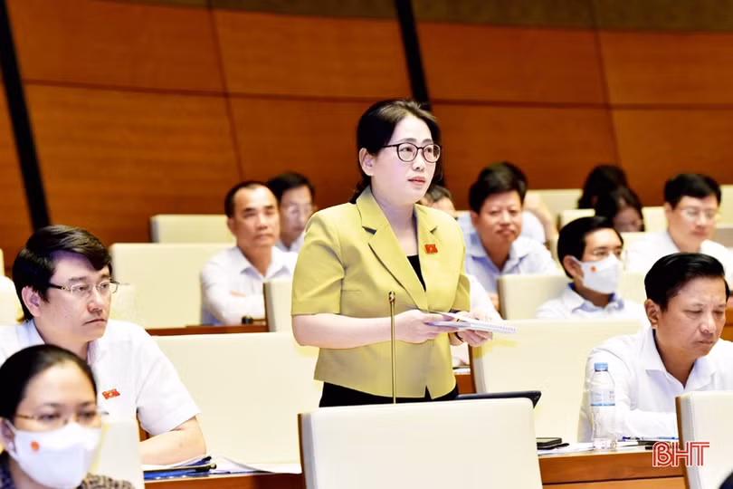 Đoàn ĐBQH tỉnh Hà Tĩnh tham gia xây dựng Luật Phòng, chống bạo lực gia đình