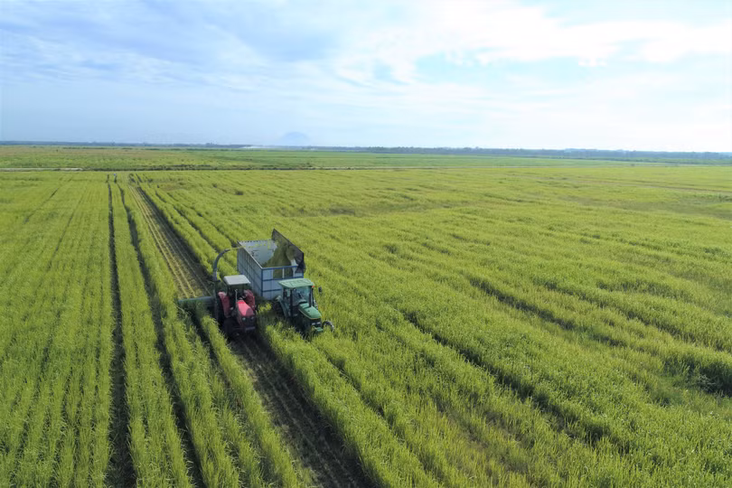 Vinamilk xây dựng mô hình phát triển bền vững trong ngành sữa