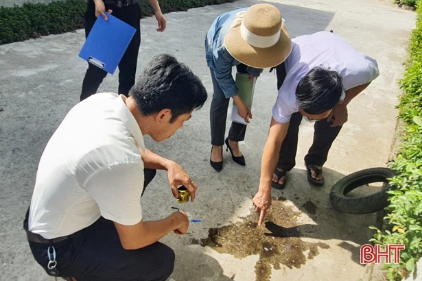 Hà Tĩnh: Dịch sốt xuất huyết có thể bùng phát, người dân không nên chủ quan