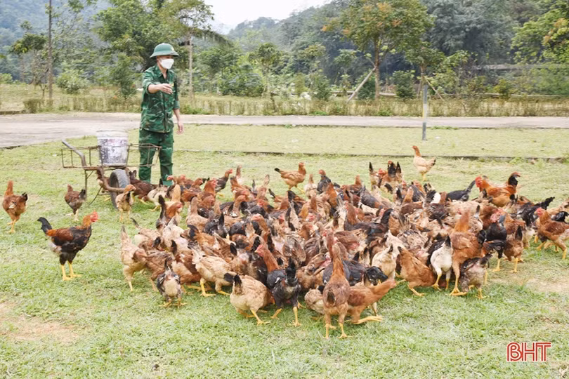 Chiến sỹ biên phòng Hà Tĩnh cải thiện mâm cơm từ tăng gia sản xuất