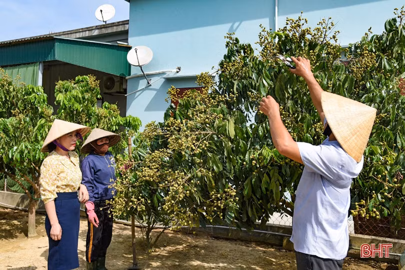 Xã vùng biển Kỳ Anh quyết liệt chặng nước rút xây dựng NTM kiểu mẫu