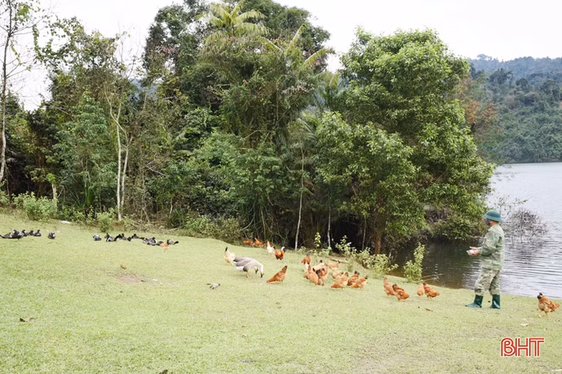 Chiến sỹ biên phòng Hà Tĩnh cải thiện mâm cơm từ tăng gia sản xuất