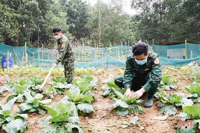 Chiến sỹ biên phòng Hà Tĩnh cải thiện mâm cơm từ tăng gia sản xuất