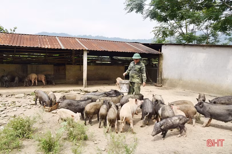 Chiến sỹ biên phòng Hà Tĩnh cải thiện mâm cơm từ tăng gia sản xuất