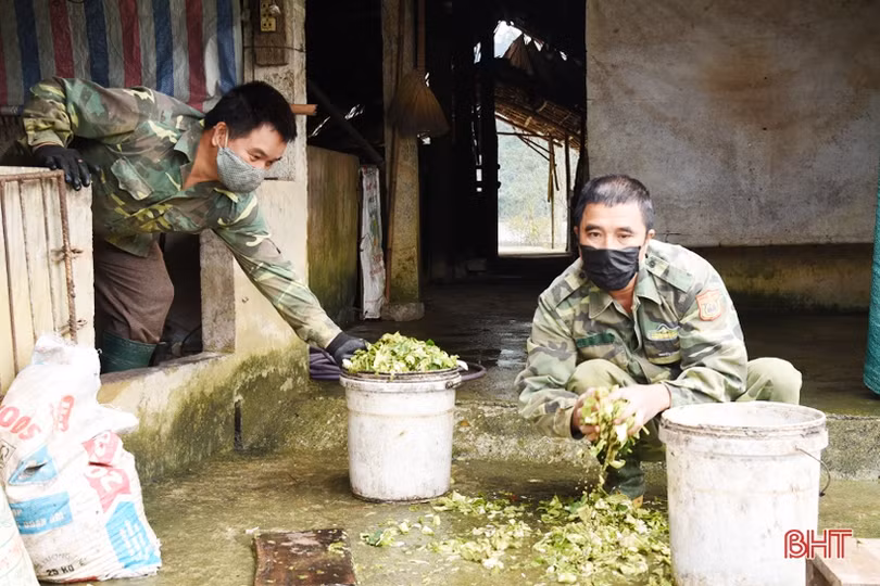 Chiến sỹ biên phòng Hà Tĩnh cải thiện mâm cơm từ tăng gia sản xuất