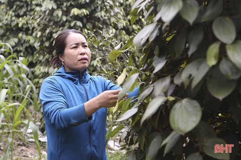 Gỡ “nút thắt”, tạo động lực mới giúp phụ nữ Hà Tĩnh phát triển kinh tế hộ