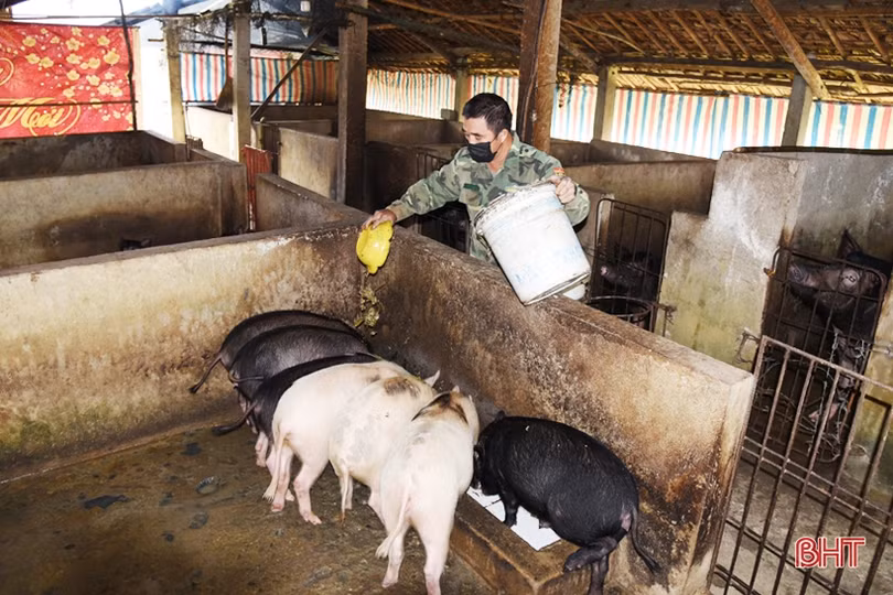 Chiến sỹ biên phòng Hà Tĩnh cải thiện mâm cơm từ tăng gia sản xuất