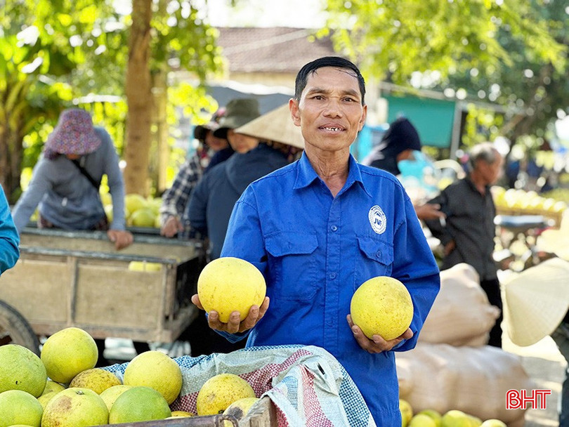 Ông Đặng Bá Quyền (xã Hương Phố) đã đến chợ bưởi bán hơn 10 ngày nay. bqbht_br_b1.jpg