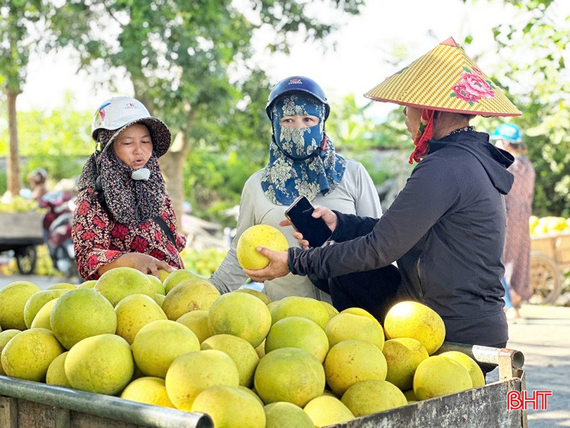 Các thương lái từ khắp nơi đến chợ bưởi xã Hương Khê để thu mua. bqbht_br_b7.jpg