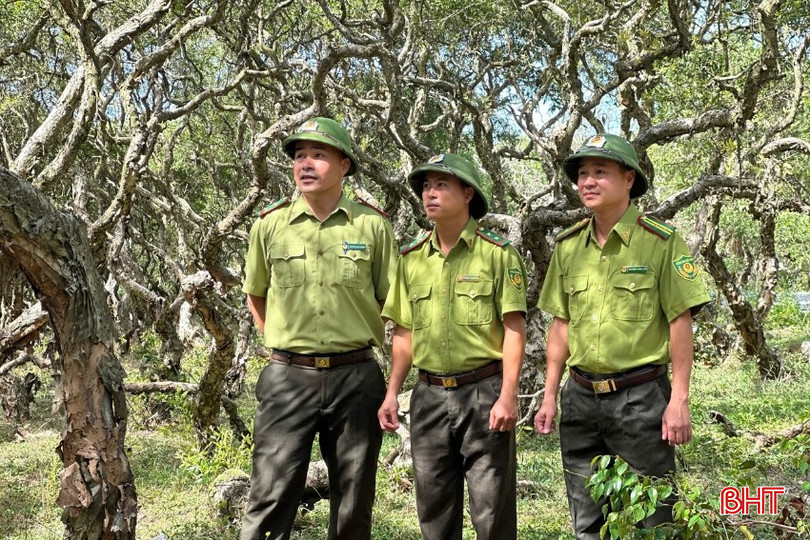 Lực lượng Hạt Kiểm lâm Kỳ Anh tăng cường công tác tuần tra, giám sát. bqbht_br_r7.jpg