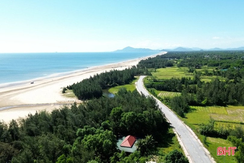 Khu vực rừng phòng hộ ven biển ở xã Đồng Tiến. bqbht_br_4.jpg