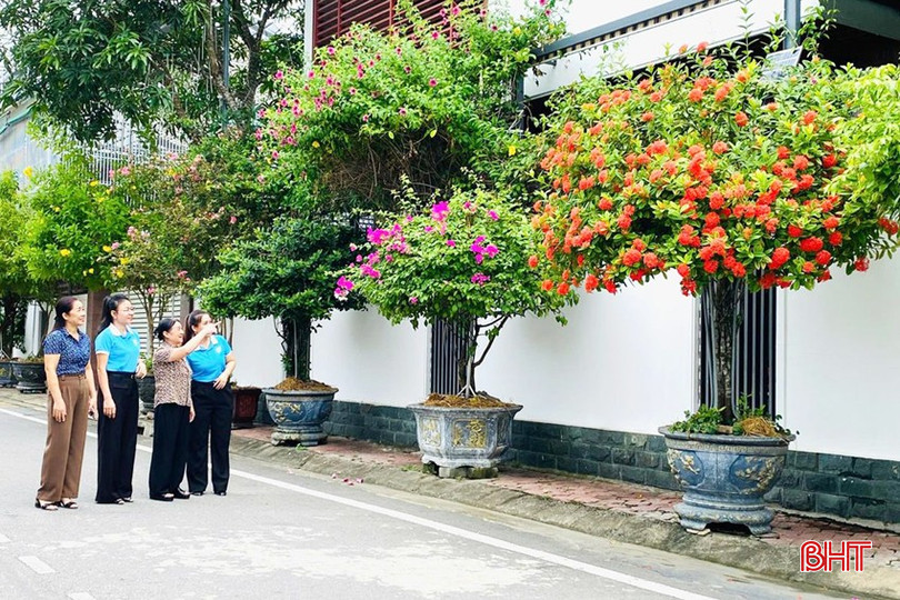 Diện mạo đường, phố ở phường Nam Hồng ngày càng khởi sắc, chất lượng sống của người dân được nâng cao, nếp sống văn minh ngày càng rõ nét. bqbht_br_dt-phuong-nam-hong.jpg