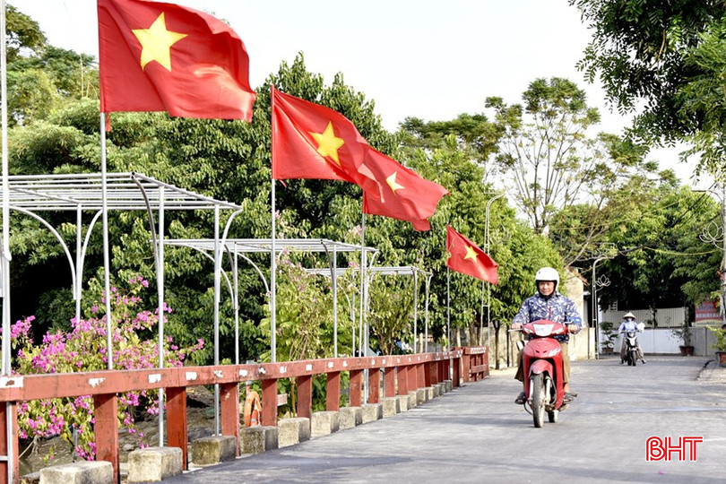 Nhiều tuyến đường, ngõ phố ở phường Trung Lương được thảm nhựa, trang trí cờ và trồng hoa tạo diện mạo mới. DT_DSC2881.jpg