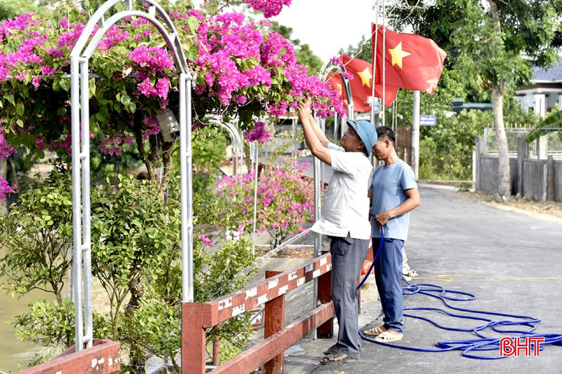 Người dân TDP Tuần Cầu tích cực tham gia làm đẹp tuyến phố, ngõ. DT_DSC2858.jpg
