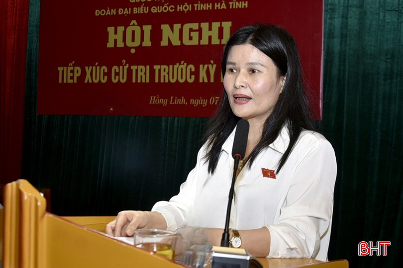 Ủy viên chuyên trách Ủy ban Kinh tế của Quốc hội Bùi Thị Quỳnh Thơ tiếp thu, giải trình và thông tin một số vấn đề cử tri quan tâm. dt-04e82ac4-aa11-44f5-97f1-b4ace0048a1e-6033.jpg
