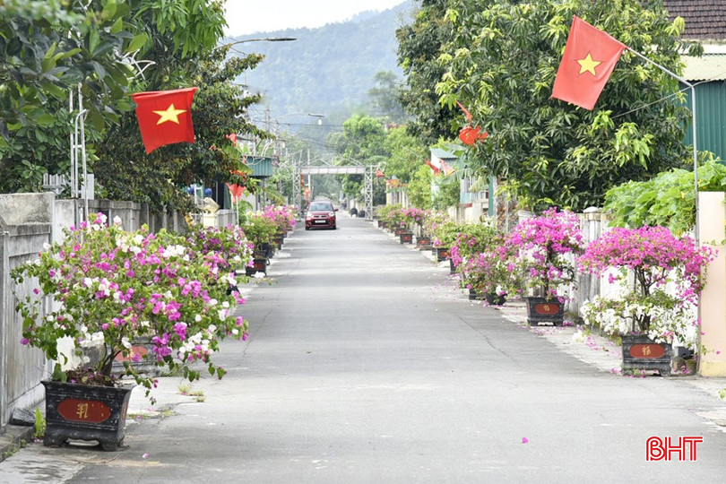 Phường Đậu Liêu có 35/74 tuyến ngõ, phố được công nhận ngõ phố đạt chuẩn văn minh đô thị. bqbht_br_dt-dsc1048.jpg