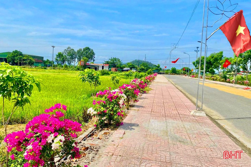 Những con đường hoa góp phần tô điểm những con đường, ngõ phố tại TX Hồng Lĩnh. bqbht_br_duong-hoa-duc-thuan.jpg