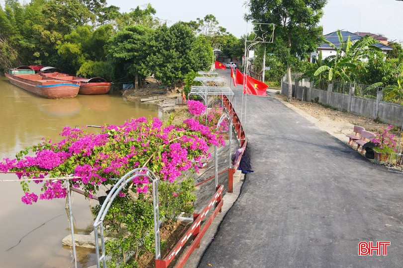 Tuyến đường hoa giấy ở TDP Tuần Cầu, phường Trung Lương khoe sắc. bqbht_br_dt-dji-0074-sua.jpg