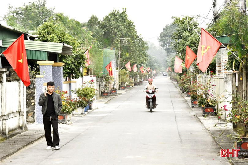 Các tuyến đường, ngõ phố trên địa bàn TDP 3 được người dân trồng hoa, cây cảnh tạo cảnh quan xanh, đẹp. bqbht_br_dt-99c0.jpg