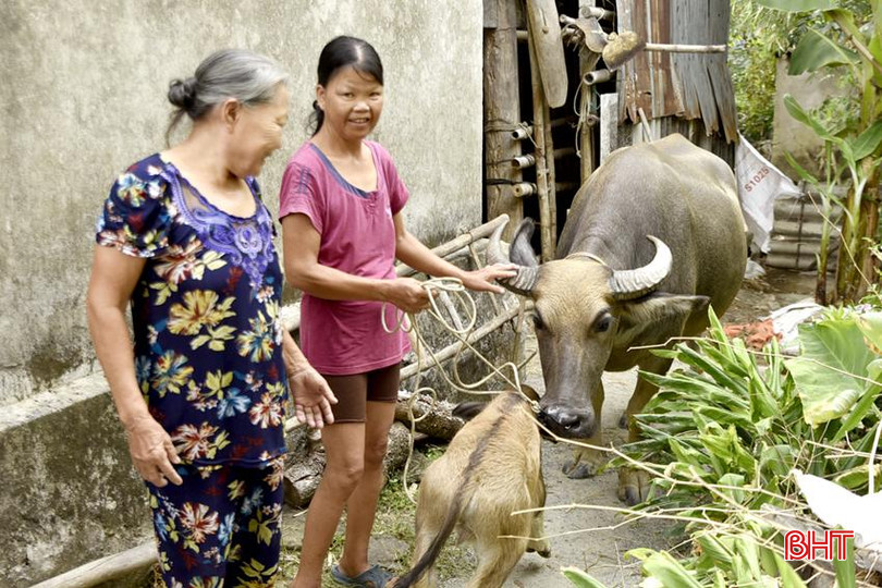 Bà Phan Thị Anh (áo hồng) ở thôn Thuận Trung, xã Thuận Lộc phấn khởi khi được tiếp cận nguồn vốn vay để phát triển kinh tế. DT_DSC2534.jpg