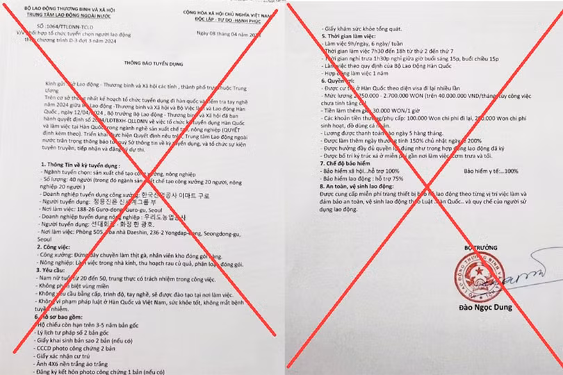 DT LD Untitled-1.jpg