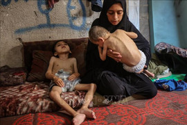 Gần 13.000 trẻ em Gaza phải điều trị suy dinh dưỡng khi viện trợ vẫn nhỏ giọt