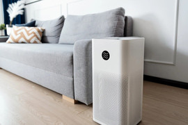 Cú lừa của máy lọc không khí