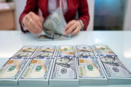 Tỷ giá USD hôm nay 11/8/2025: Thị trường trong nước ổn định