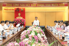 Ban Thường vụ Tỉnh ủy duyệt đại hội Đảng bộ các địa phương