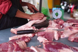 Sẽ thế nào nếu sử dụng thịt nhiễm dịch tả lợn châu Phi?