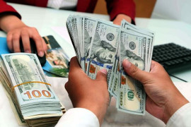 Tỷ giá USD hôm nay 30/7: Đồng USD hồi sinh mạnh mẽ