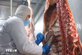 Công điện của Thủ tướng về chấn chỉnh công tác kiểm soát giết mổ gia súc