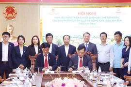 Hà Tĩnh và Nafoods Group hợp tác phát triển chuỗi sản xuất, chế biến dứa và nông sản
