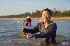 Theo chân ngư dân đi câu cúm núm