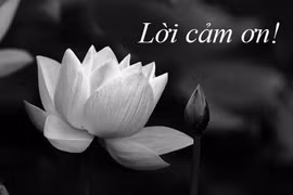 Lời cảm ơn