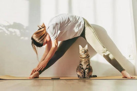 Giúp "đẩy lùi" mỡ máu từ những việc làm mỗi sáng