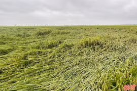 Cảnh báo giông, lốc, mưa đá và gió giật mạnh ở Hà Tĩnh 