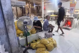 Lò sản xuất 2.800 tấn mì tươi 'ngậm' hàn the, thủy tinh lỏng 