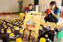 Sắp diễn ra “Tuần lễ sản phẩm Hà Tĩnh tại Thủ đô”